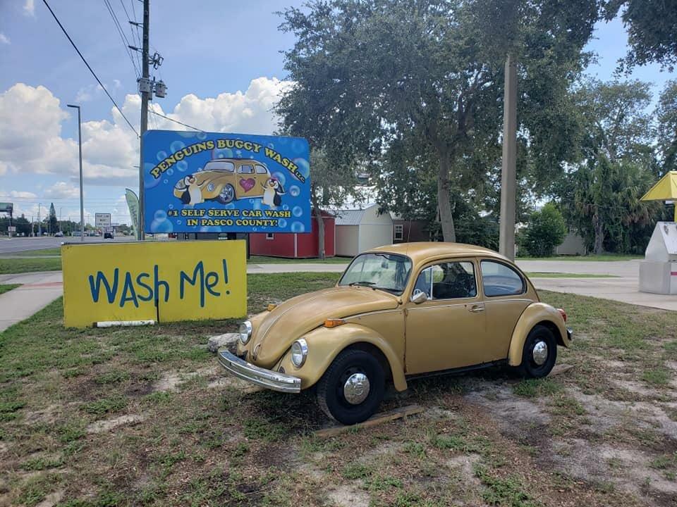 Penguin's Buggy Wash