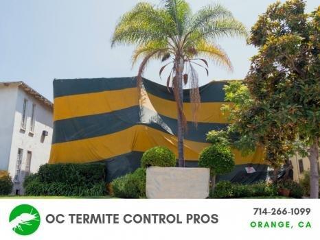 Oc Termite Control Pros