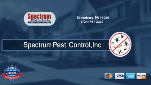 Spectrum Pest Control