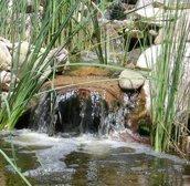 Purely Ponds Fine Landscapes