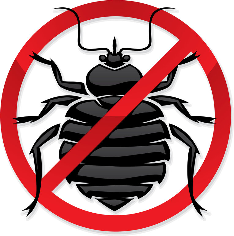 All Out Bed Bug Exterminator Manhattan | Bed Bug Removal NYC