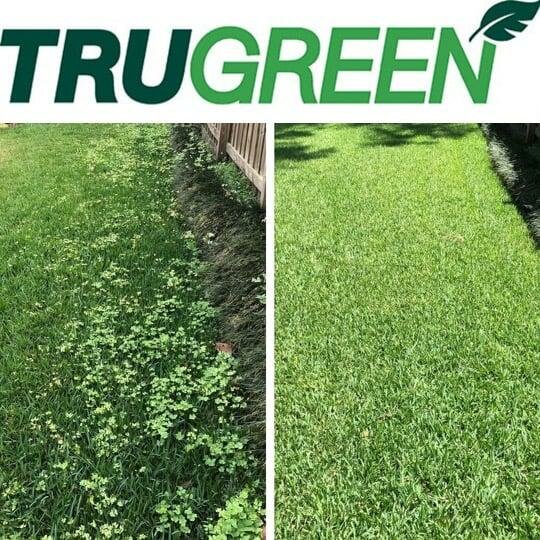 TruGreen Lawn Care