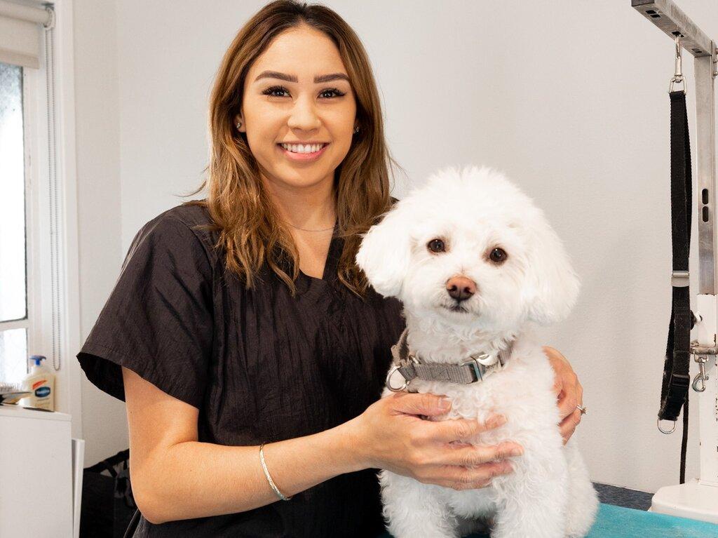 Groom-Dog Care With Love