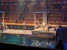 Pirates Voyage Dinner & Show