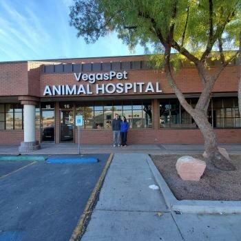 Vegaspet Animal Hospital