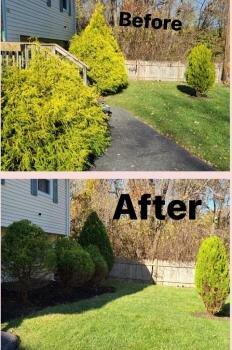 Eddy's Gutter Cleaning & Landscape LLC