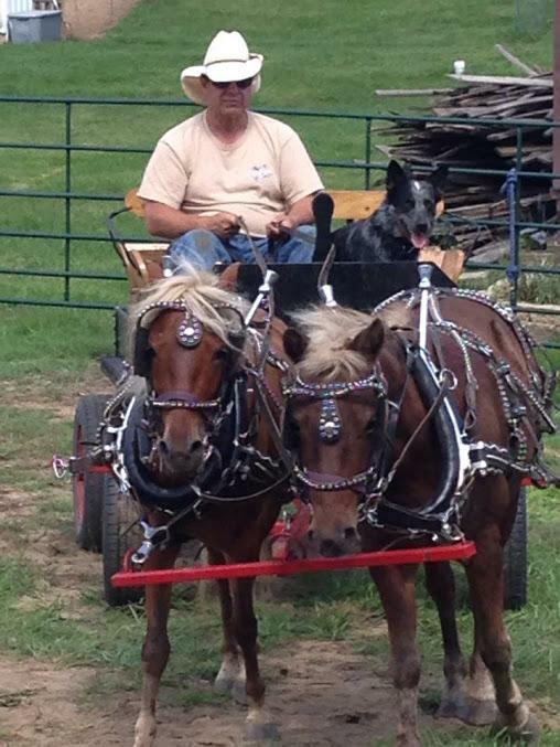 Wyoming Saddle Company