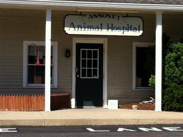 Assonet Animal Hospital