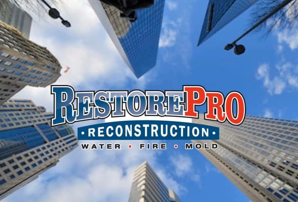 RestorePro Reconstruction