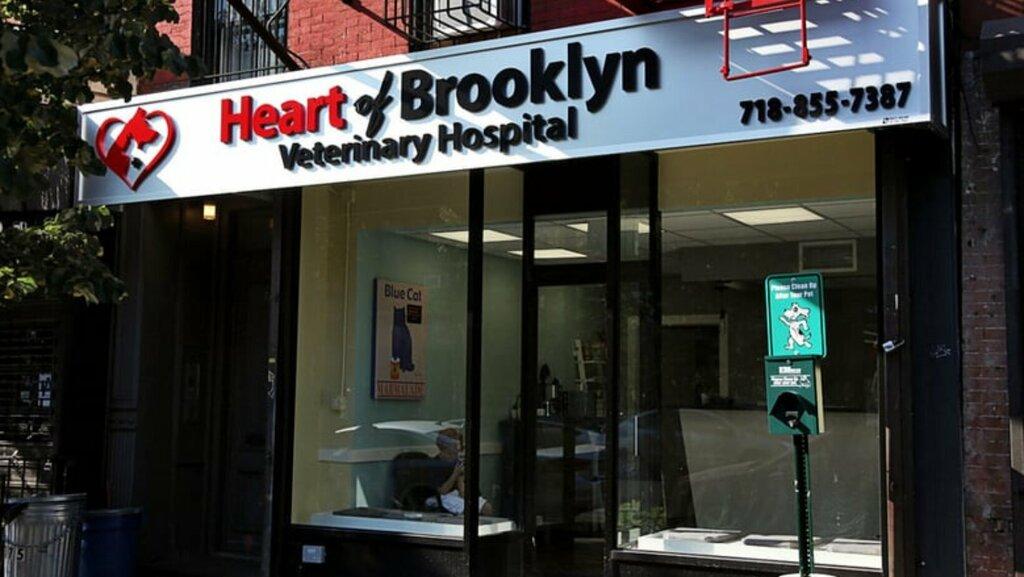 Heart of Brooklyn Veterinary Hospital-Flatbush