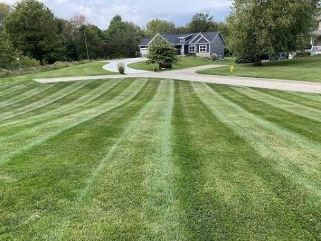 Green Turf Lawn & Landscaping Services