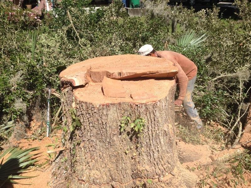 S & L Tree Service & Stump Grinding