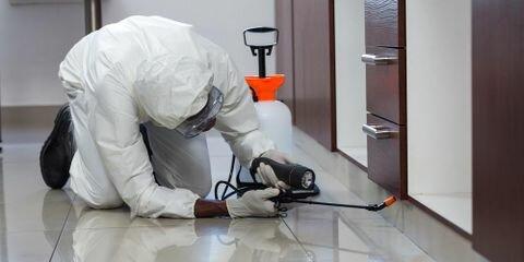 Rushing Pest Control Services