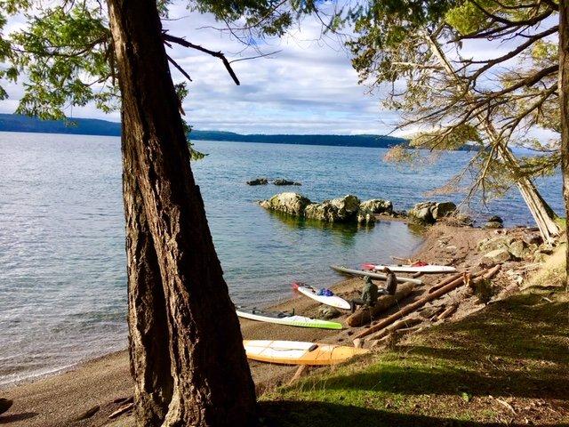 Salmon Bay Paddle