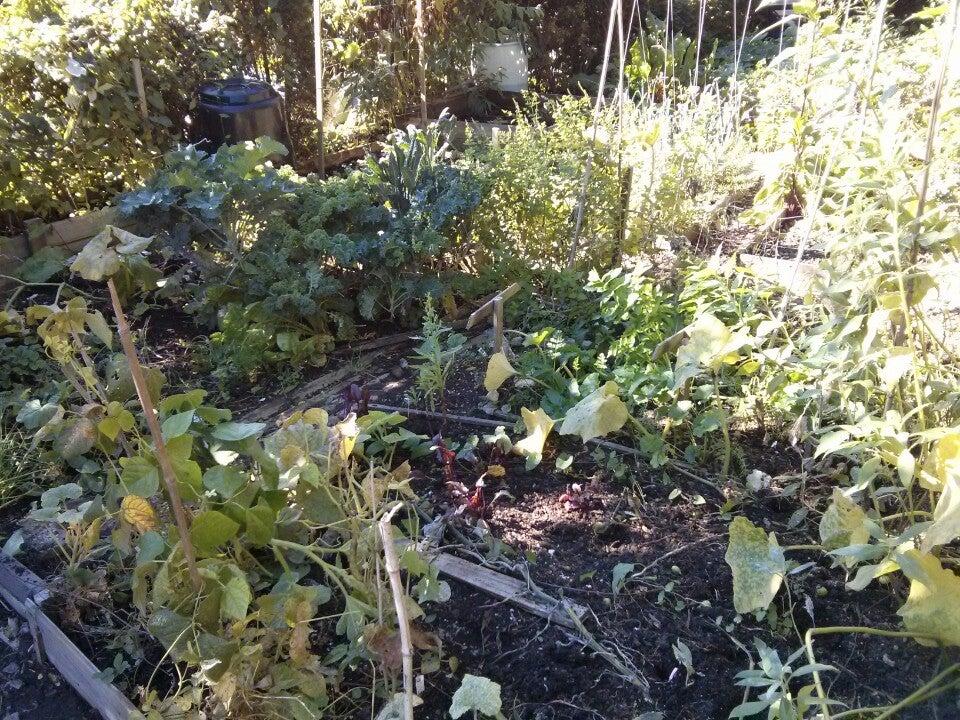 Strathcona Community Garden Cottonwood Community Garden