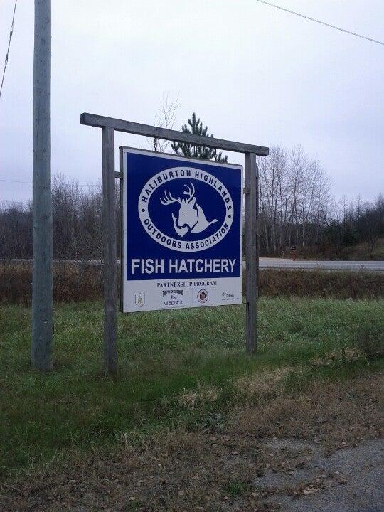 Hhoa Haliburton Fish Hatchery