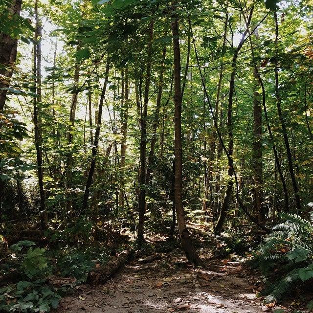 Camosun Bog