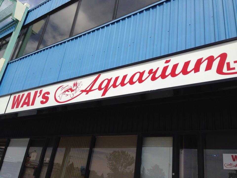 Wai's Aquarium Ltd