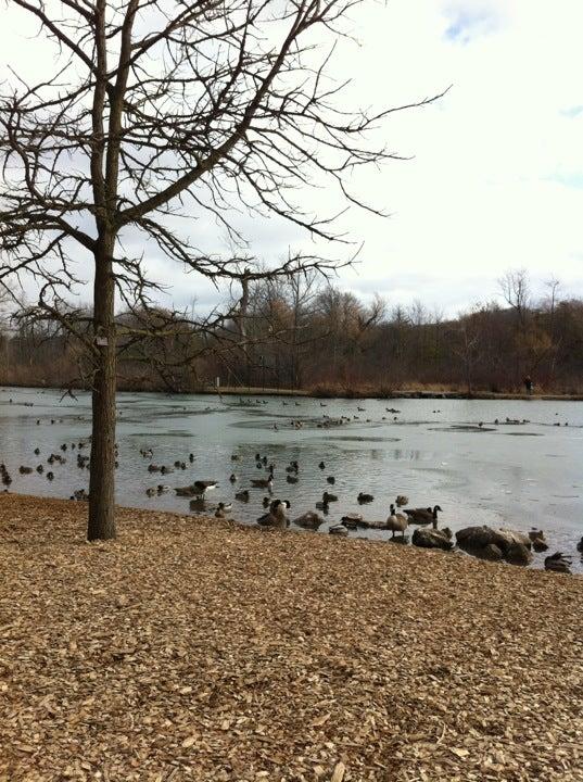 Dufferin Islands