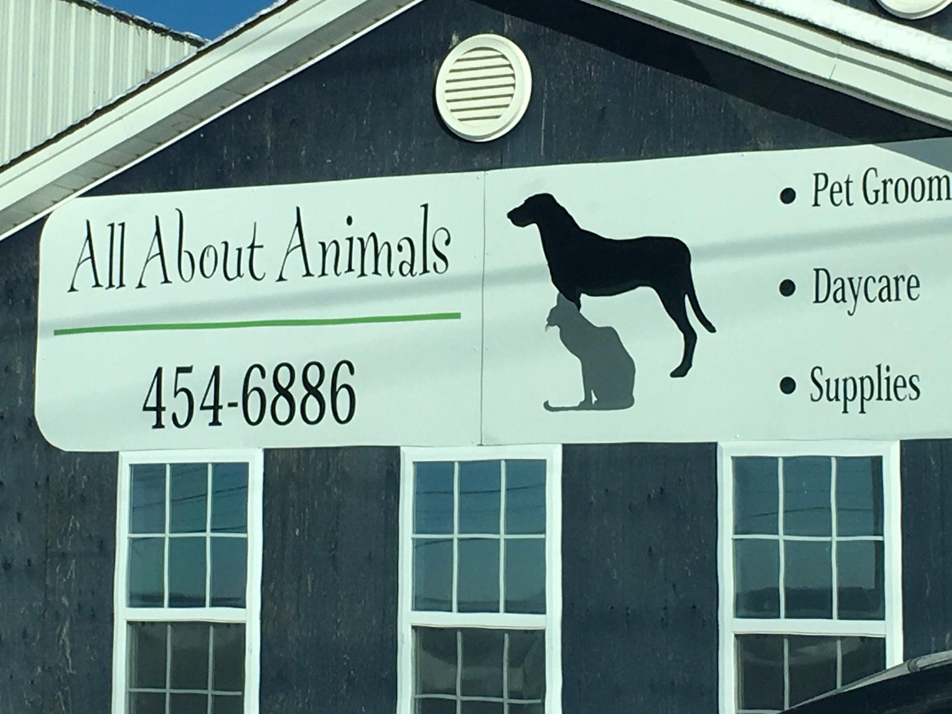 All About Animals