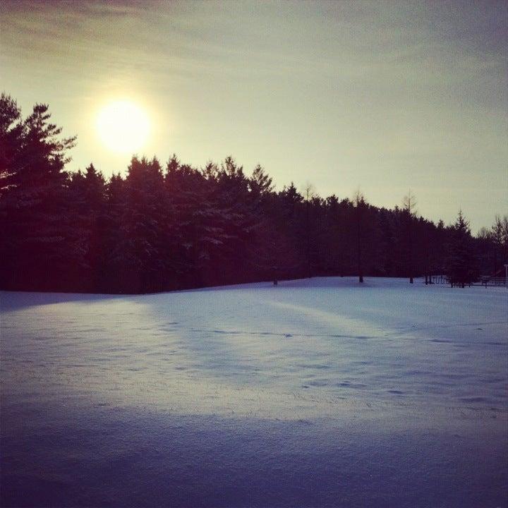 A Cole A La Mentaire Catholique Le-Petit-Prince