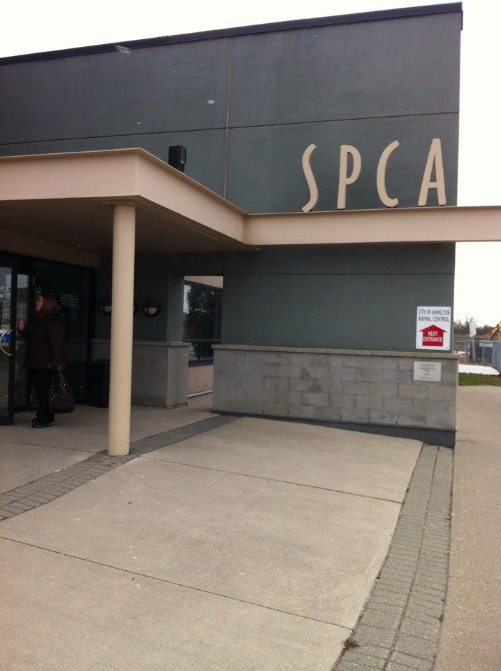 SPCA Hamilton Burlington