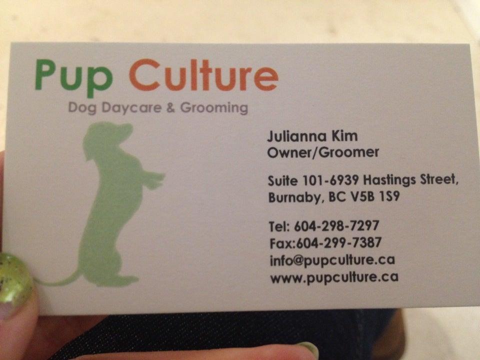 Pup Culture Dog Day Care