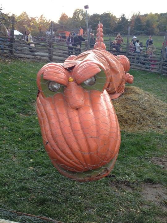 Howell Family Pumpkin Farm