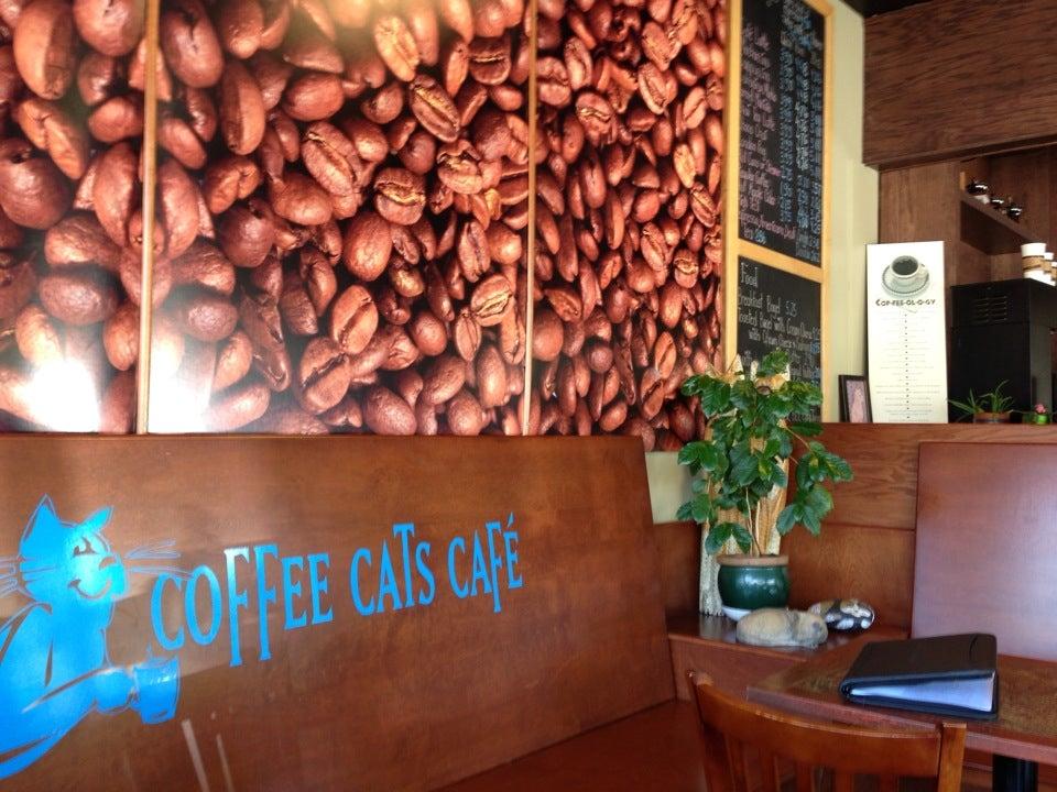 Coffee Cats Cafe