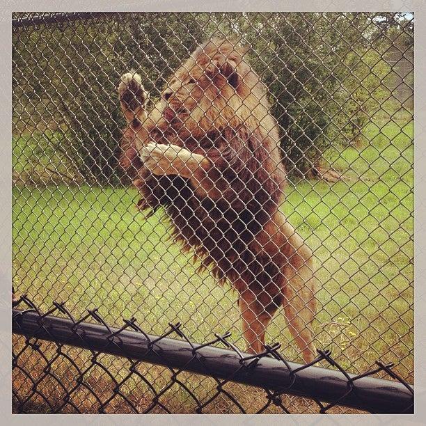 Greater Vancouver Zoo