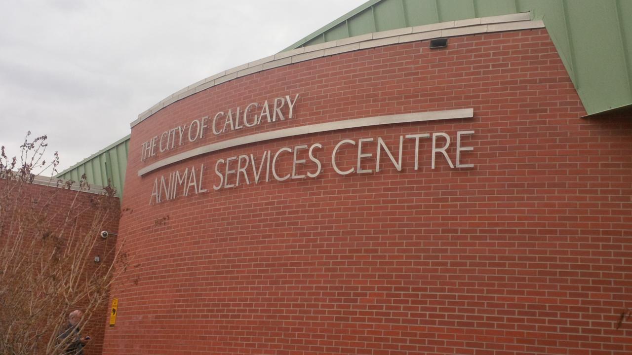 Calgary Animal Service