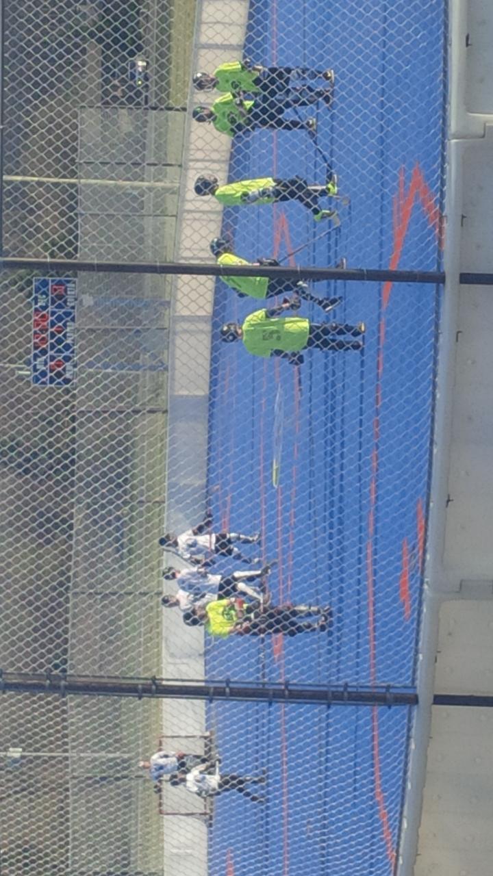 Ball Hockey International