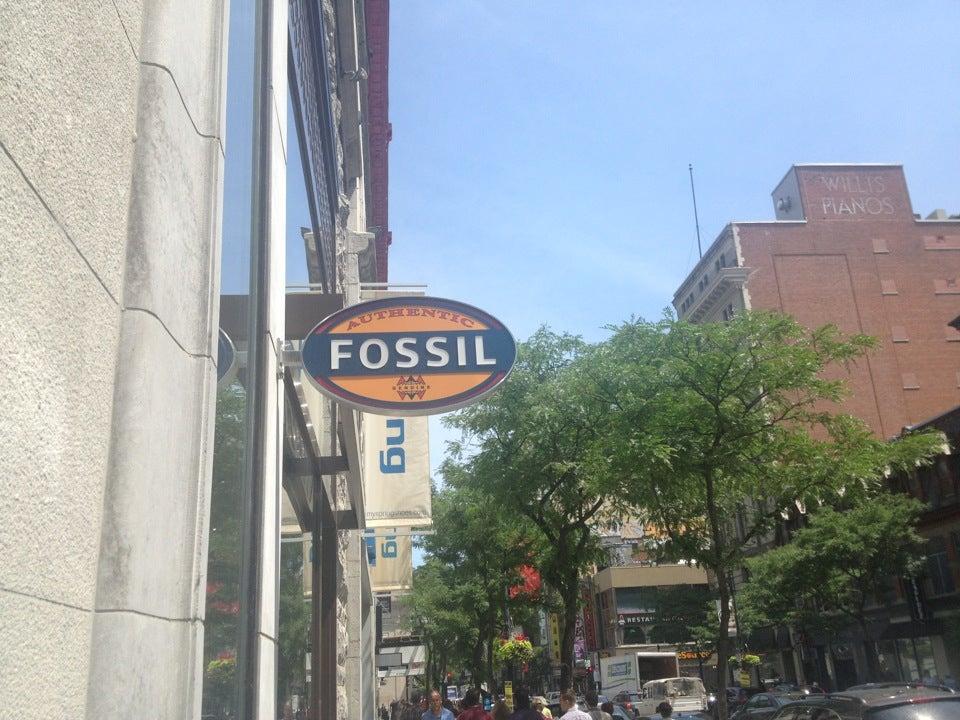 Fossil Accessory