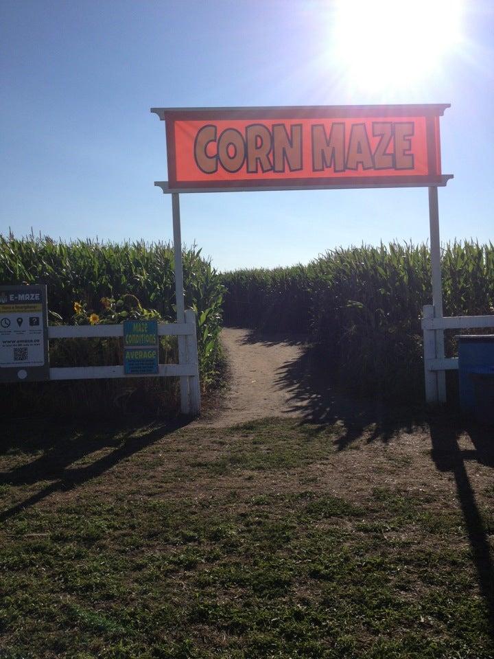 Edmonton Corn Maze