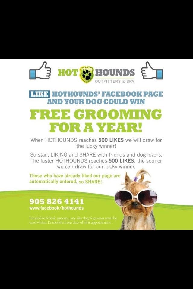 Hot Hounds Outfitters & Spa