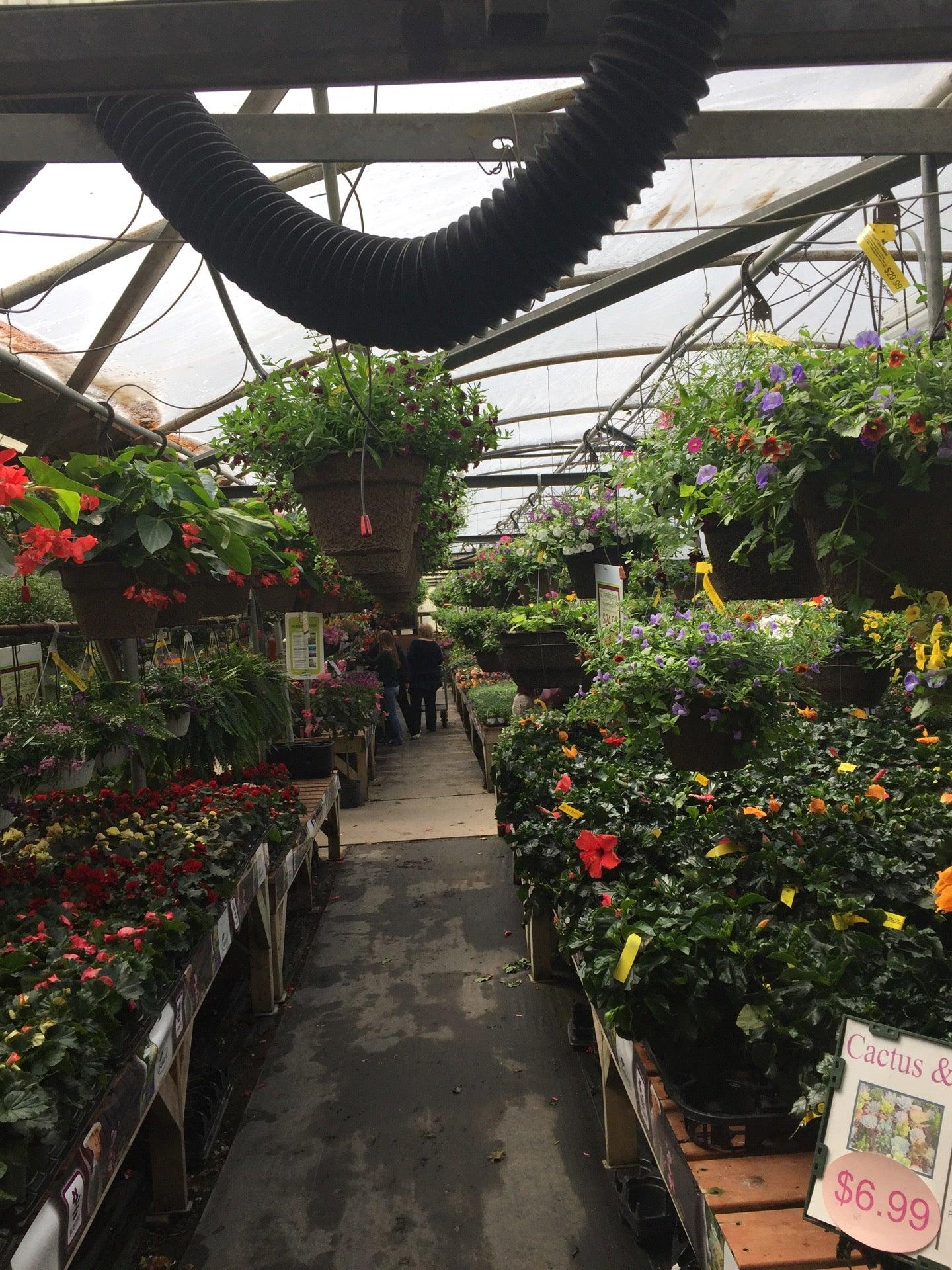 Kingsway Greenhouse