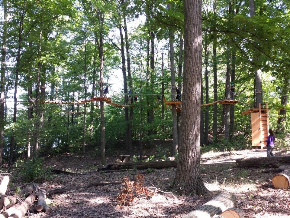 Treetop Trekking - Brampton