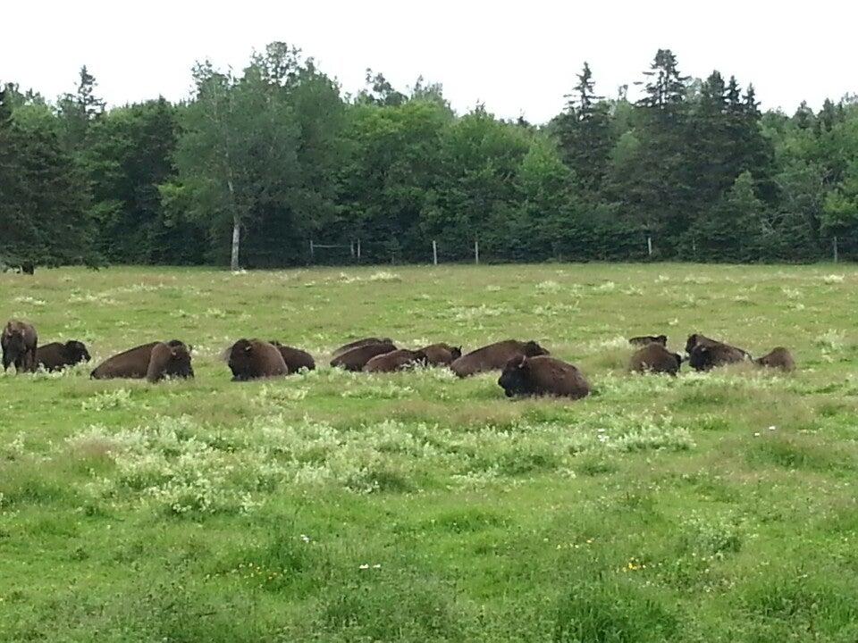 Buffaloland Provincial Park