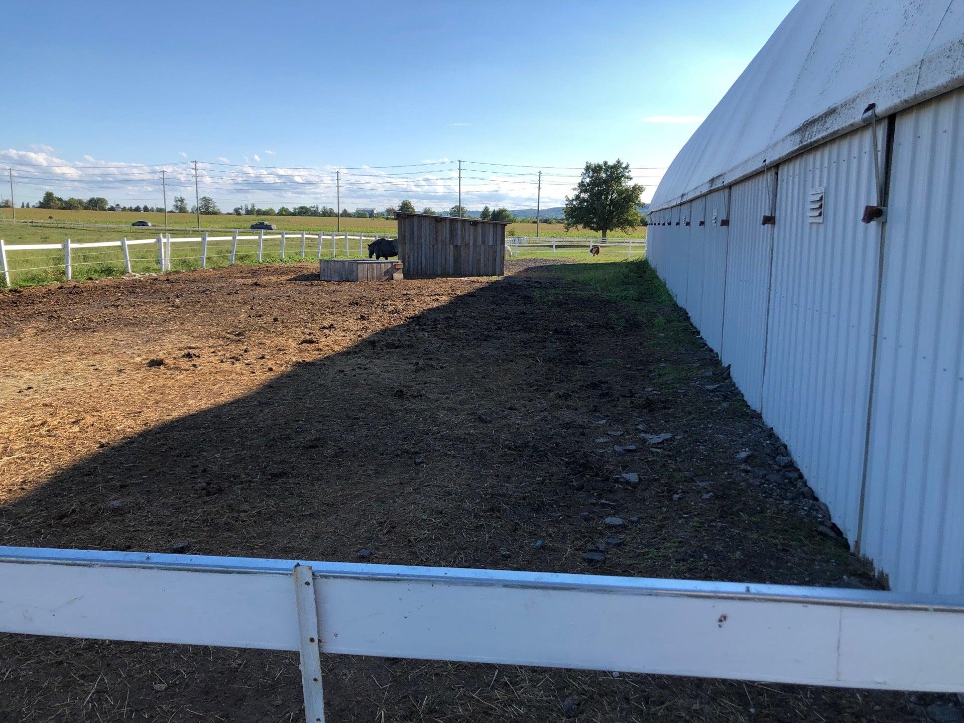 Claddagh Stables