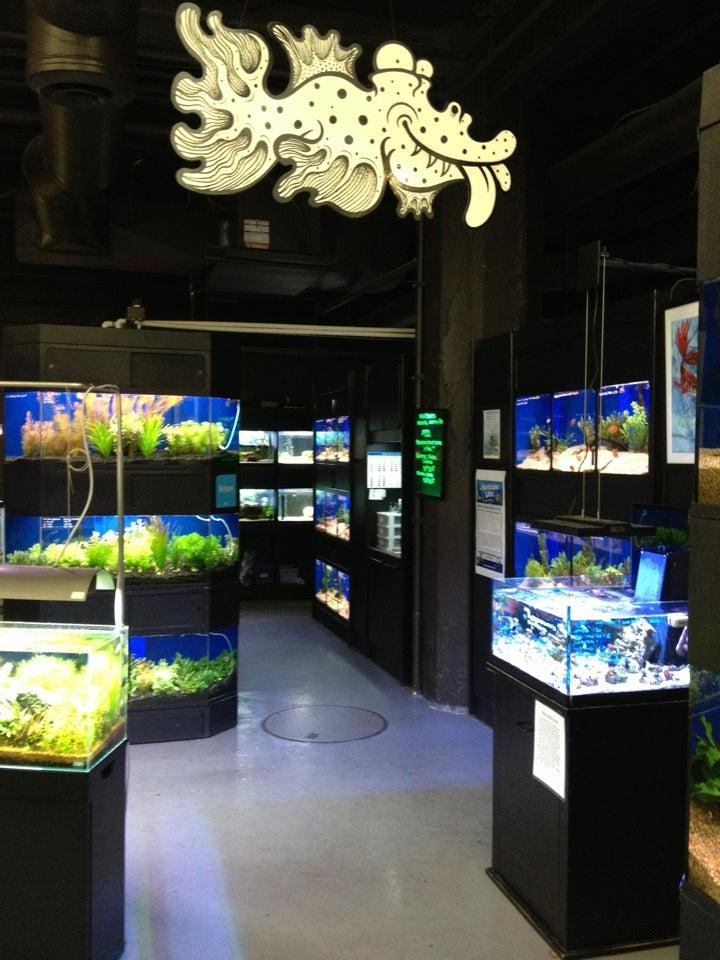 Aquariums West