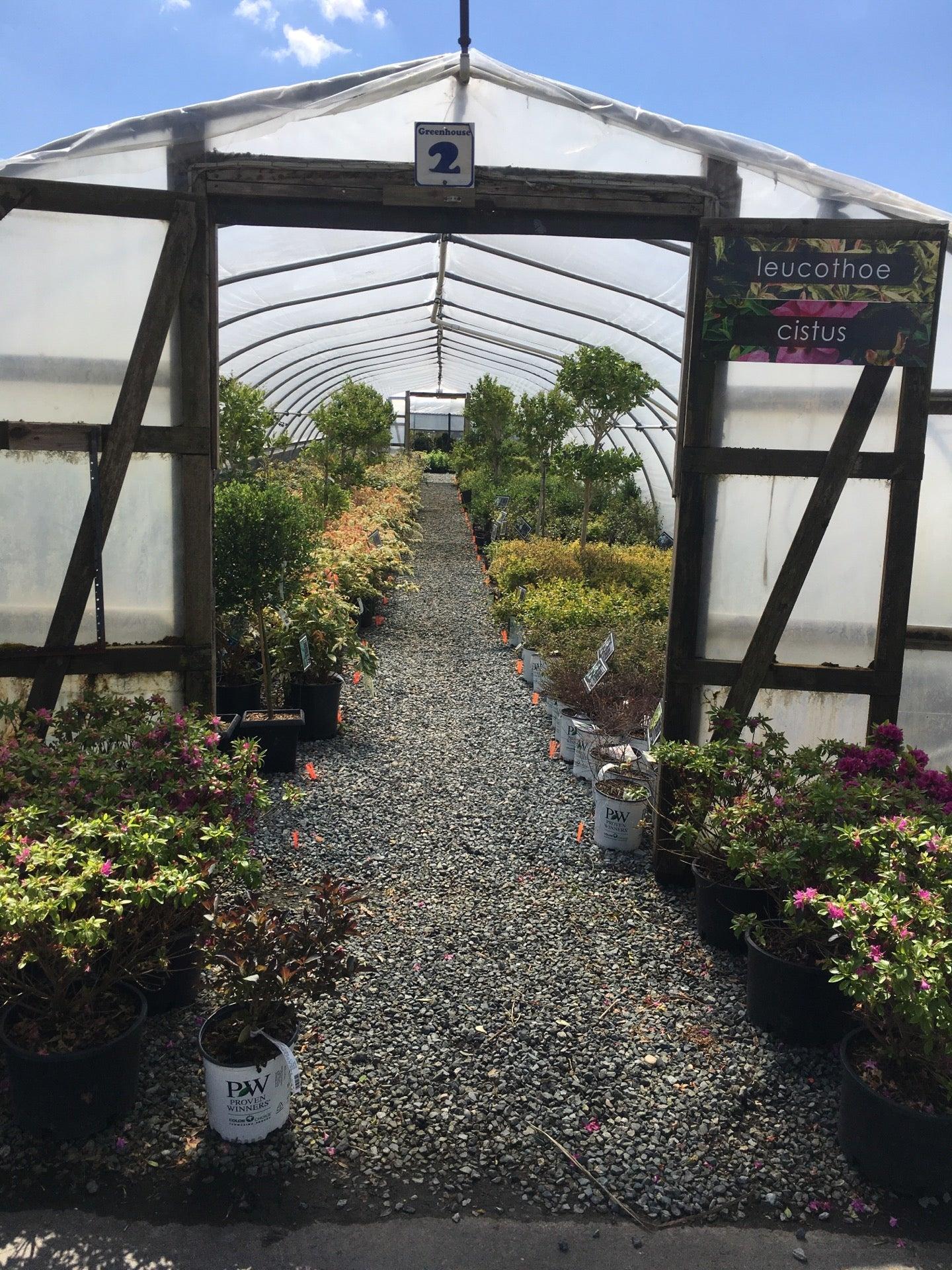 Cedar Rim Nursery