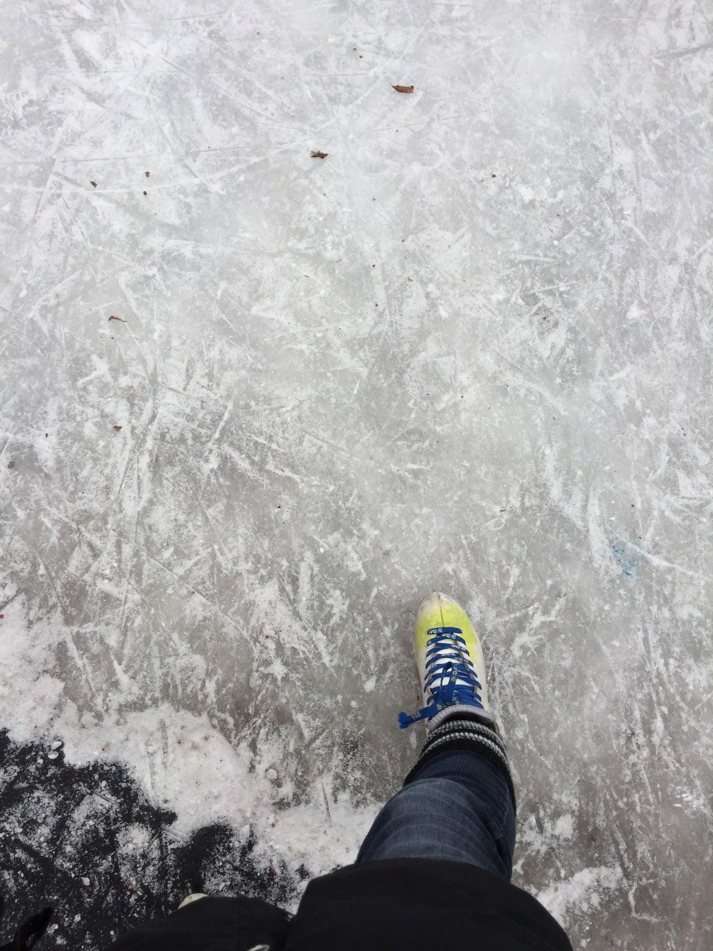 Evergreen Brick Works Gardens Ice Rink