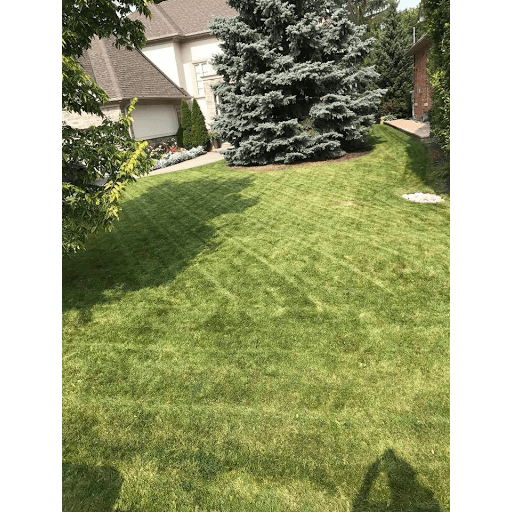 Northern Lights Lawn Maintenance