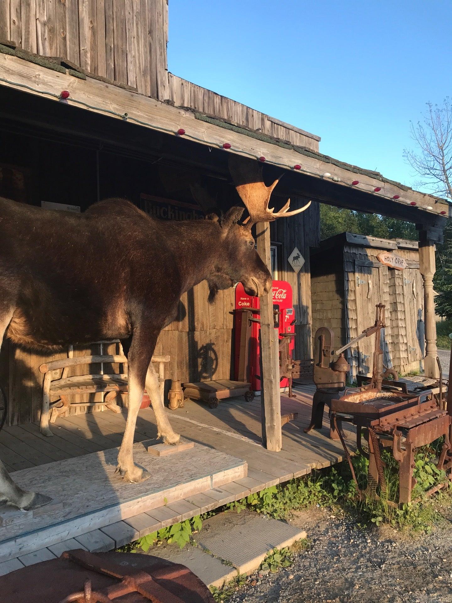 Young's General Store