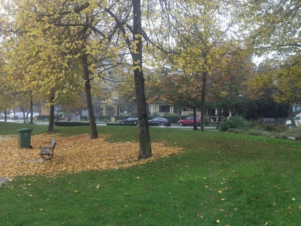 Nelson Park Community Gardens