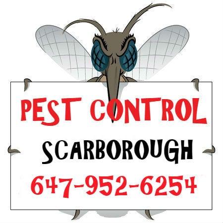 Gta Toronto Pest Control