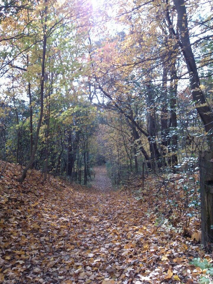 Dundas Valley Conservation Area