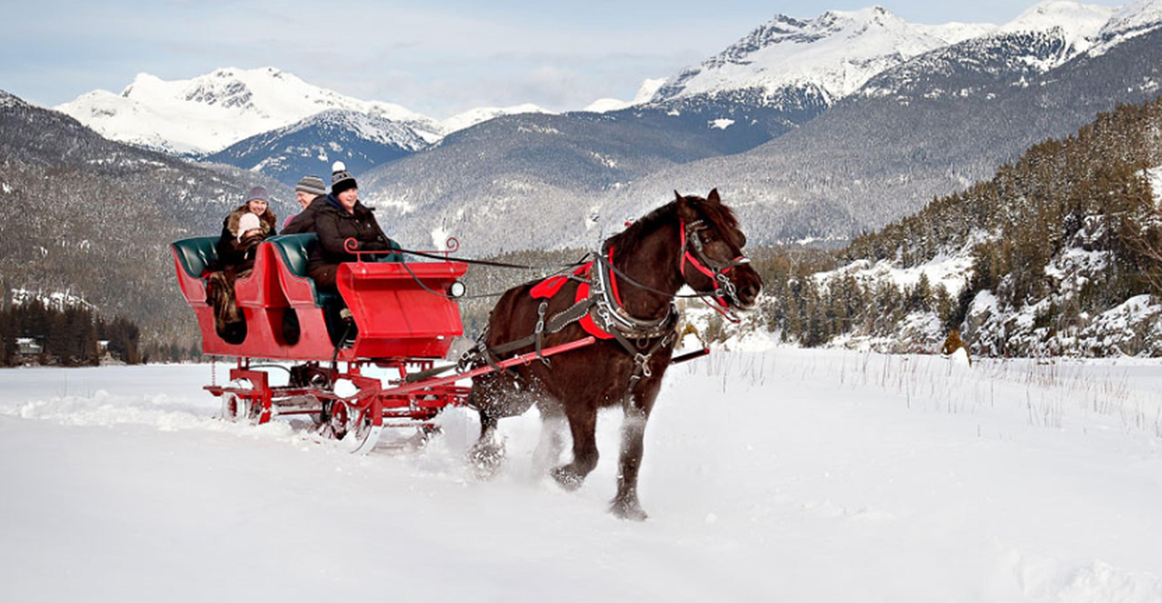 Blackcomb Sleighrides