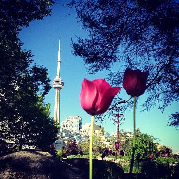 Toronto Music Garden