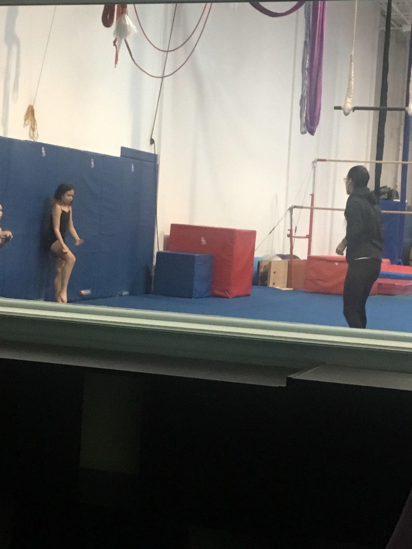 Prestige Circus-Gymnastics School